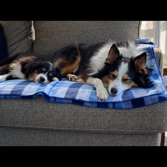 Meet your Posher, C - Picture 5 of 5